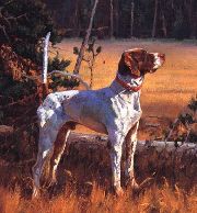 CH. ELHEW SNAKEFOOT