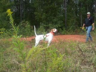 ATTITUDE'S STONE CUTTER