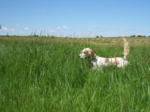 THUNDERBIRD JAXINABOX