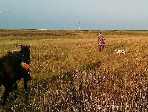 ATTUTUDE'S ALWAYS DREAMING