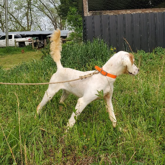 ATTITUDE'S JOHN WICK