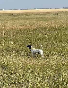 Rita places 2nd in Prairie All Age derby